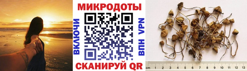 где продают наркотики  Агрыз  Псилоцибиновые грибы ЛСД 